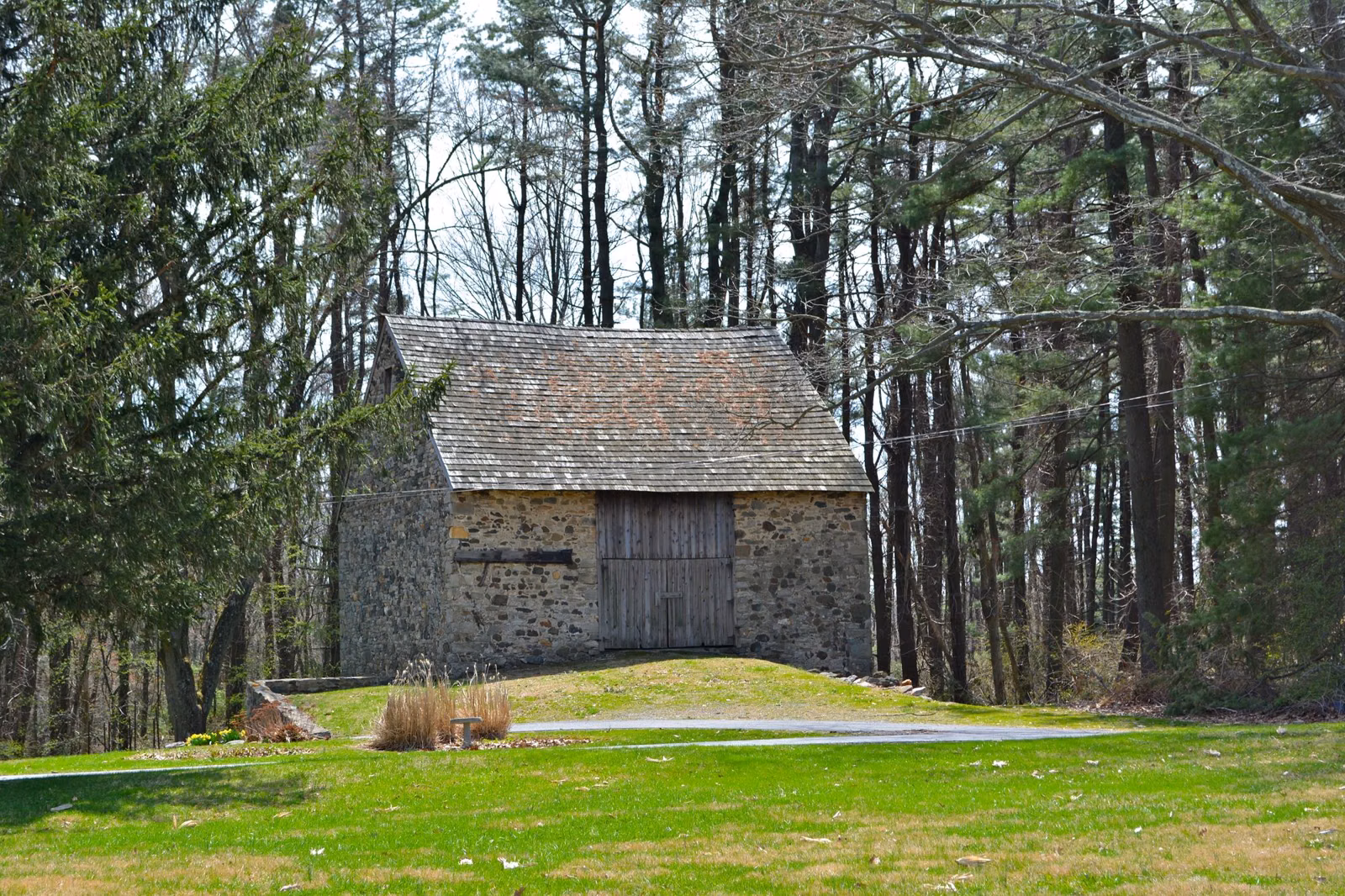 The stone Worrall barn on a green lawn among tall pines in Ridley Creek State Park