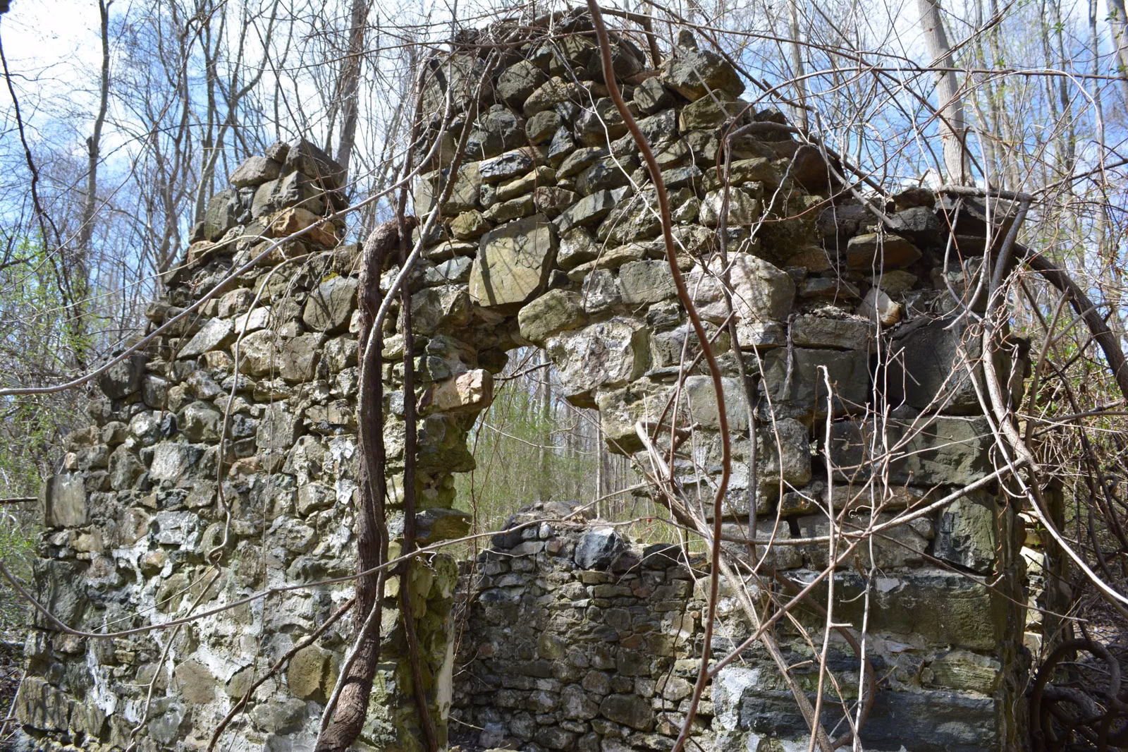 Stone springhouse ruin along the White Trail in Ridley Creek State Park