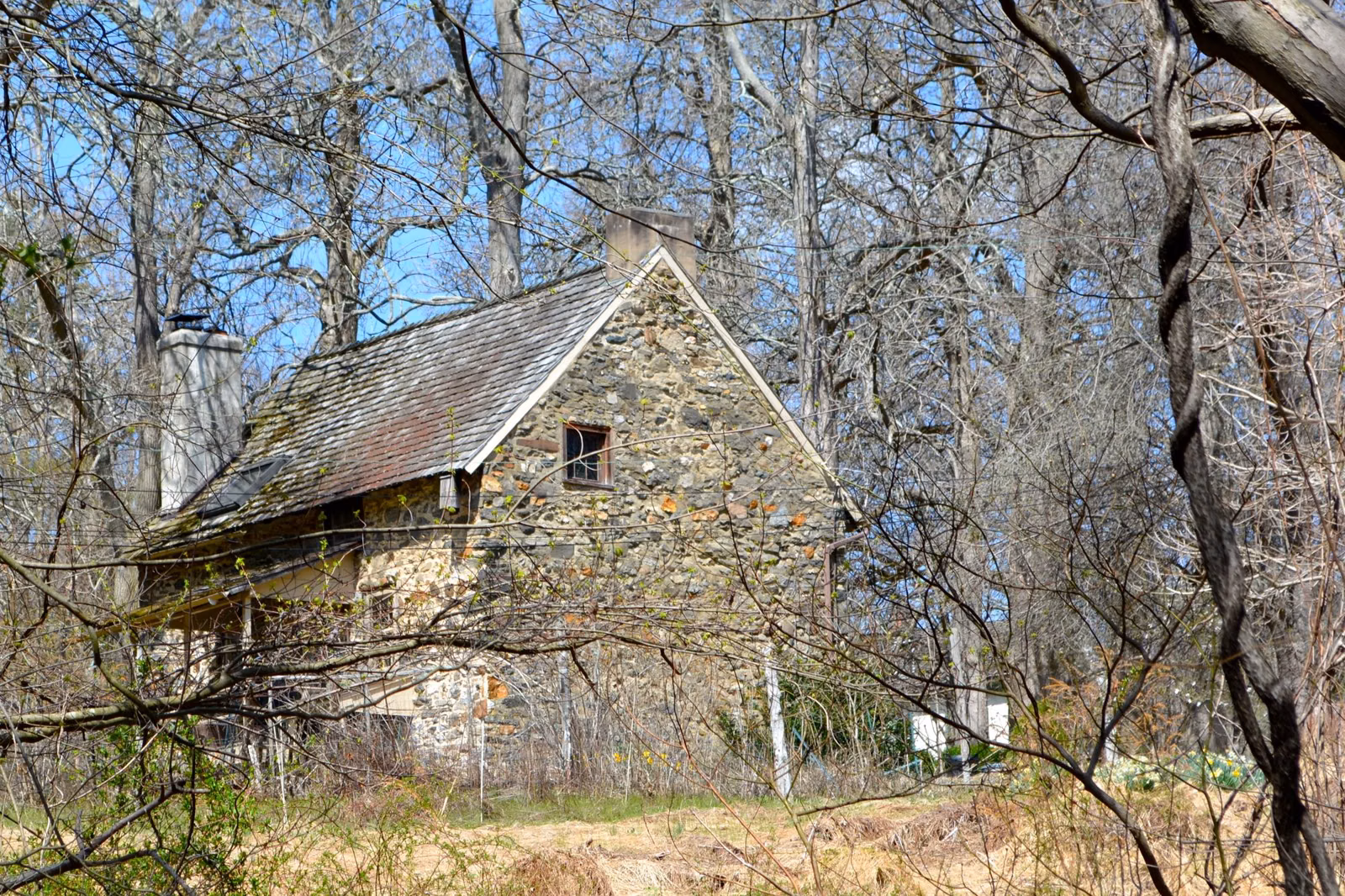 A historic stone house among bare early-spring trees in Ridley Creek State Park