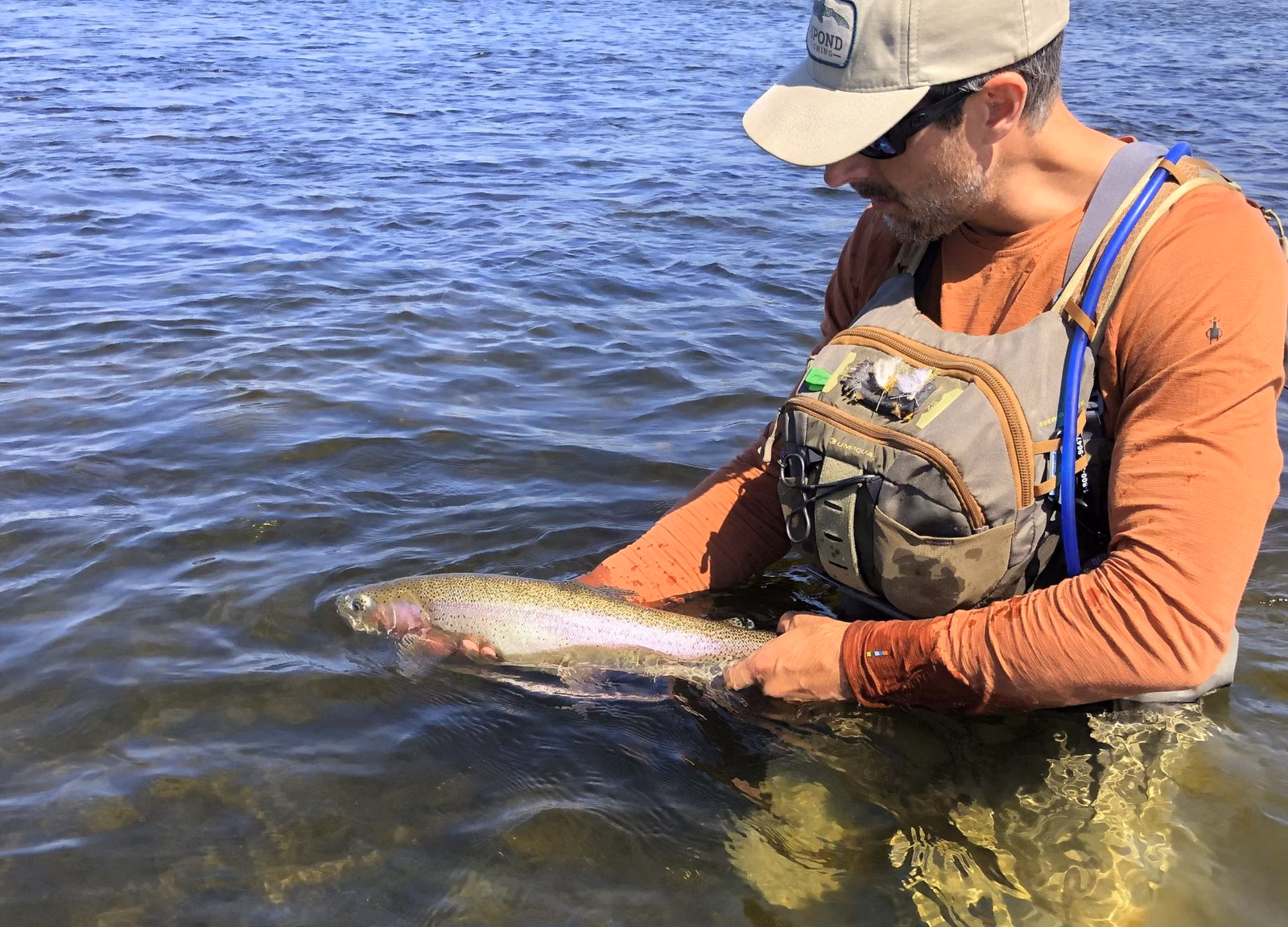 An angler releasing a rainbow trout while standing in a stream (U.S. Fish and Wildlife Service photo)