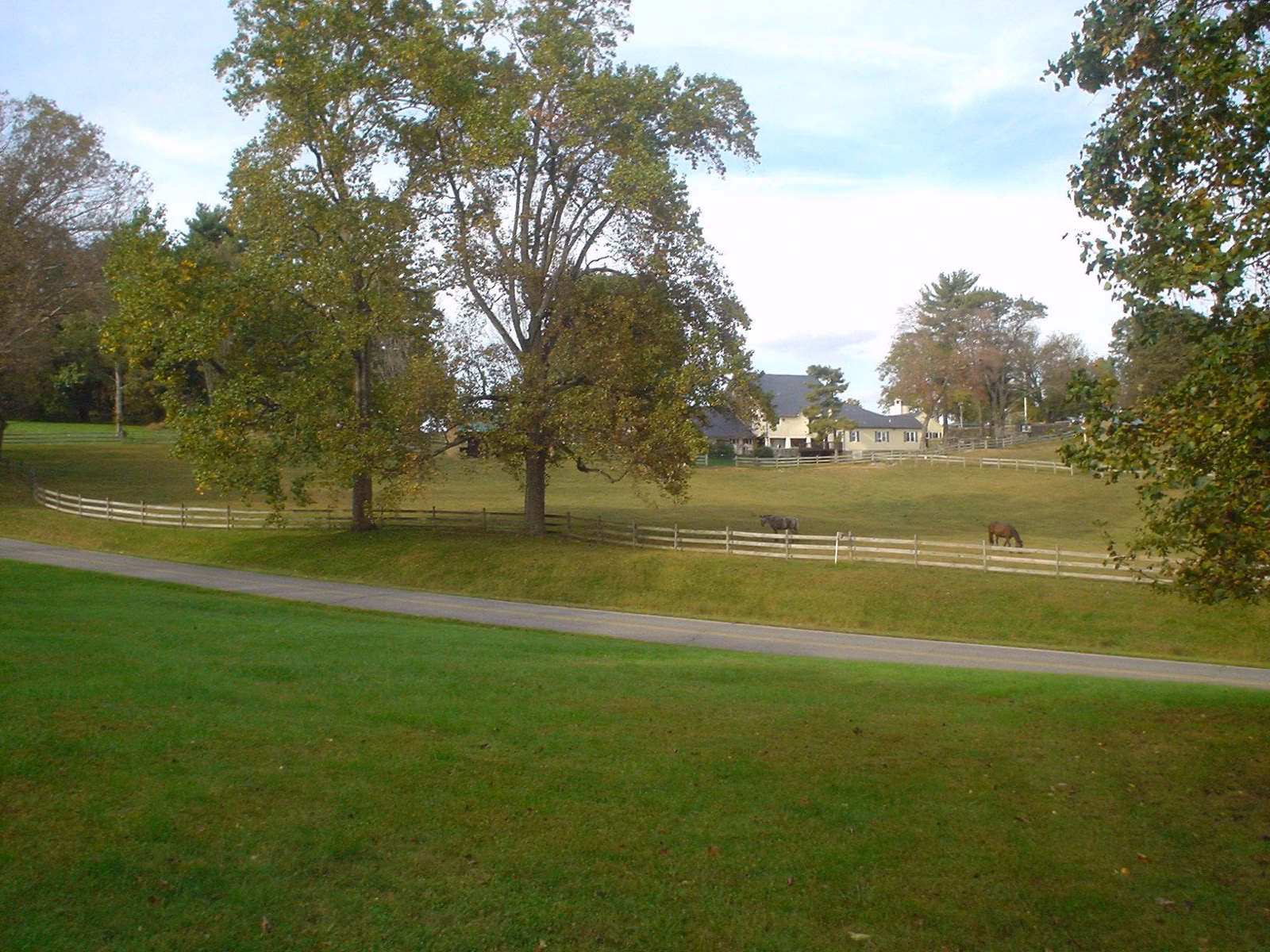 Horses grazing in a fenced pasture with farm buildings beyond in Ridley Creek State Park