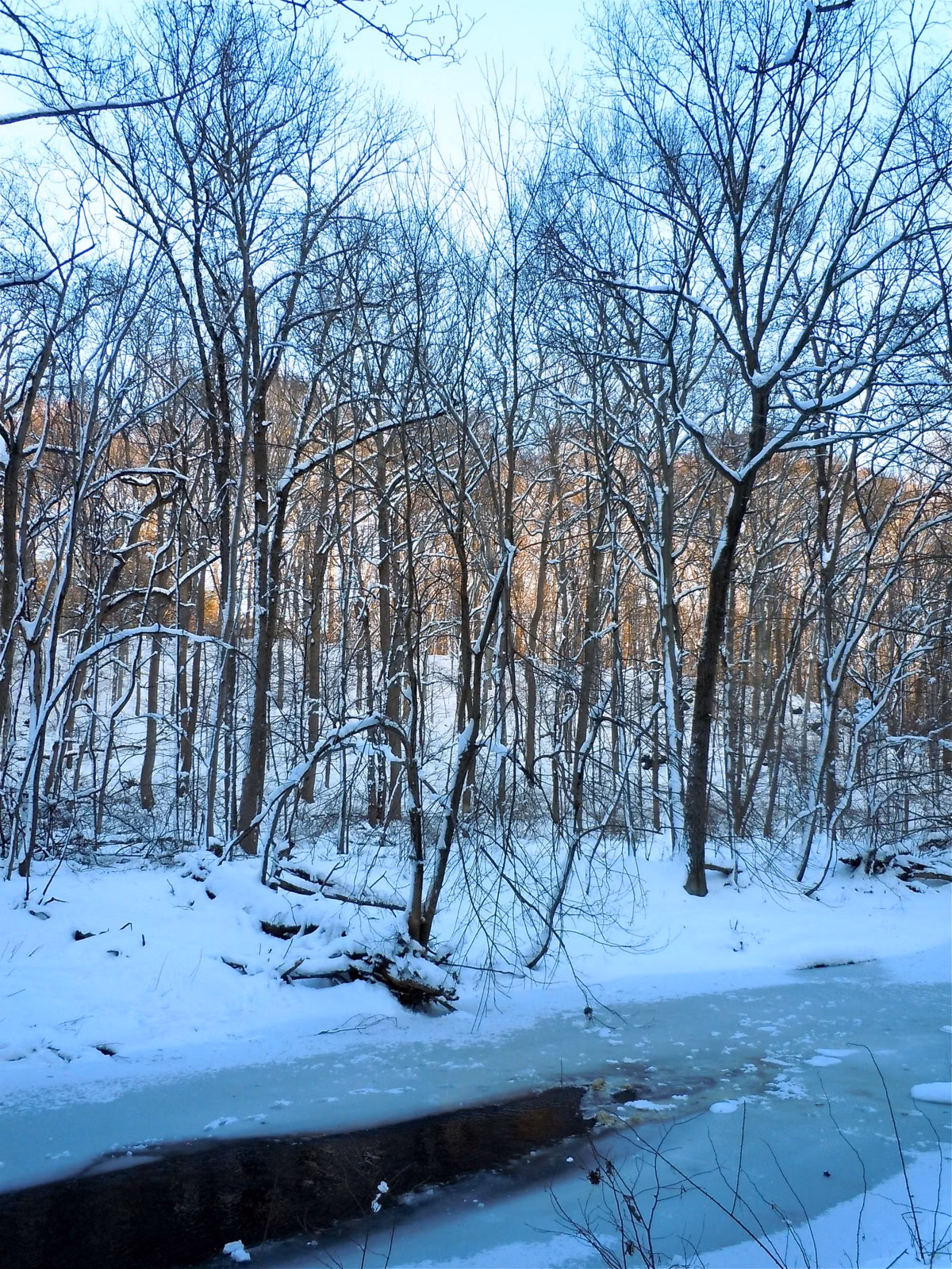 Ridley Creek running between snowy banks near the Bishop Hollow Road entrance to Ridley Creek State Park
