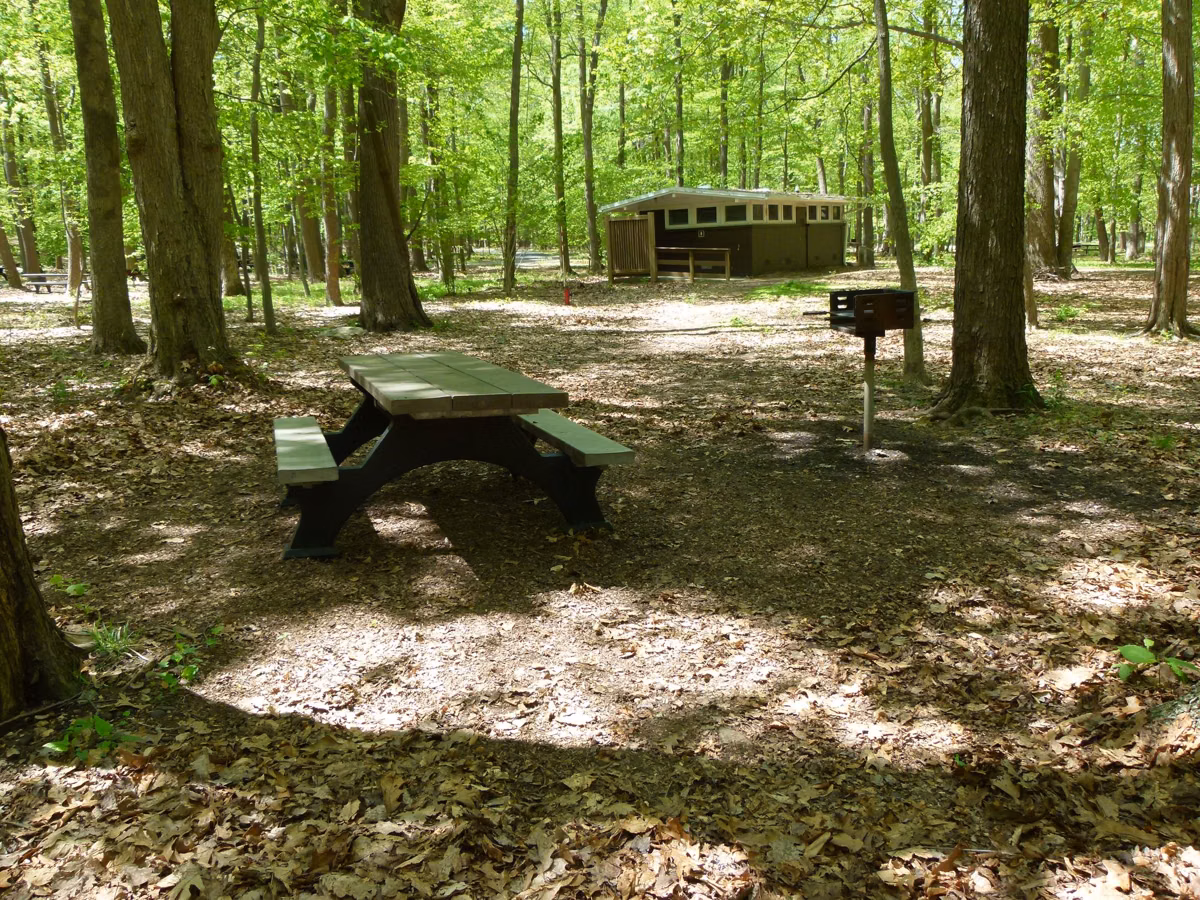 A picnic table and charcoal grill in a shaded wooded picnic area (National Park Service photo)