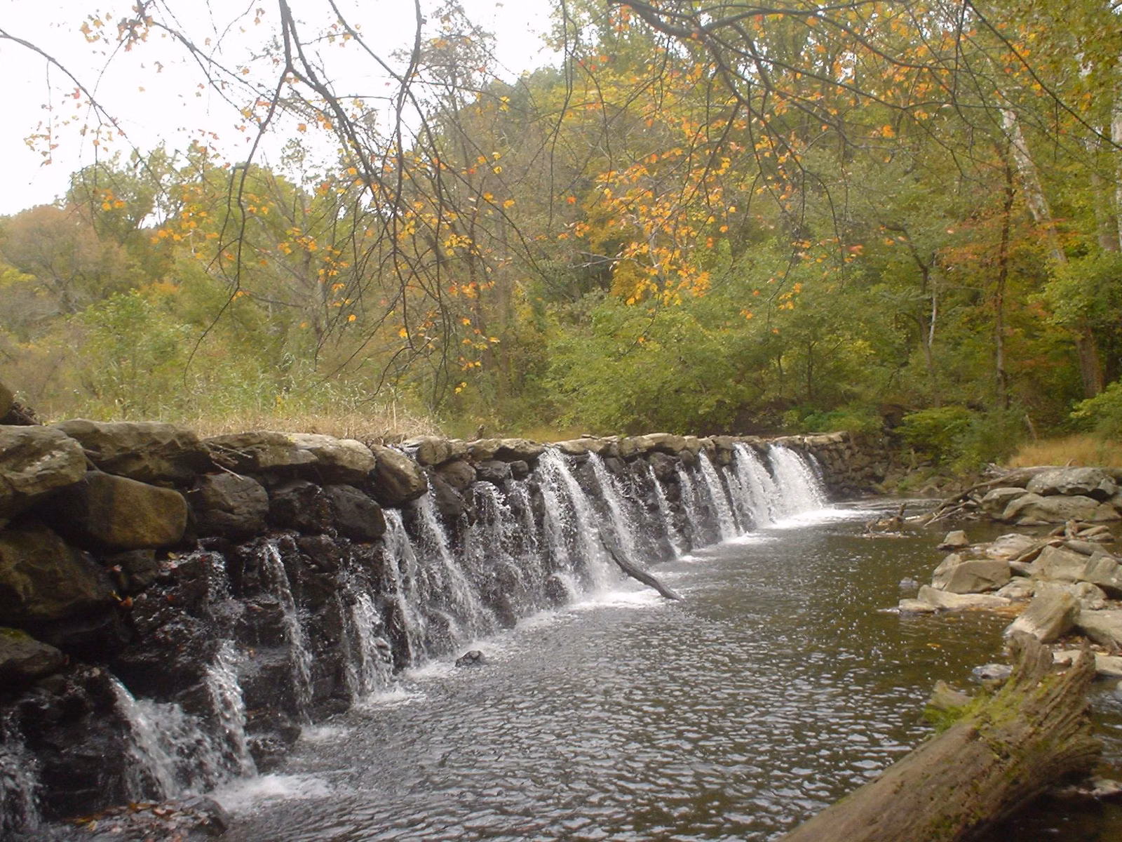 The stone Sycamore Mills Dam on Ridley Creek, with water spilling across its full width