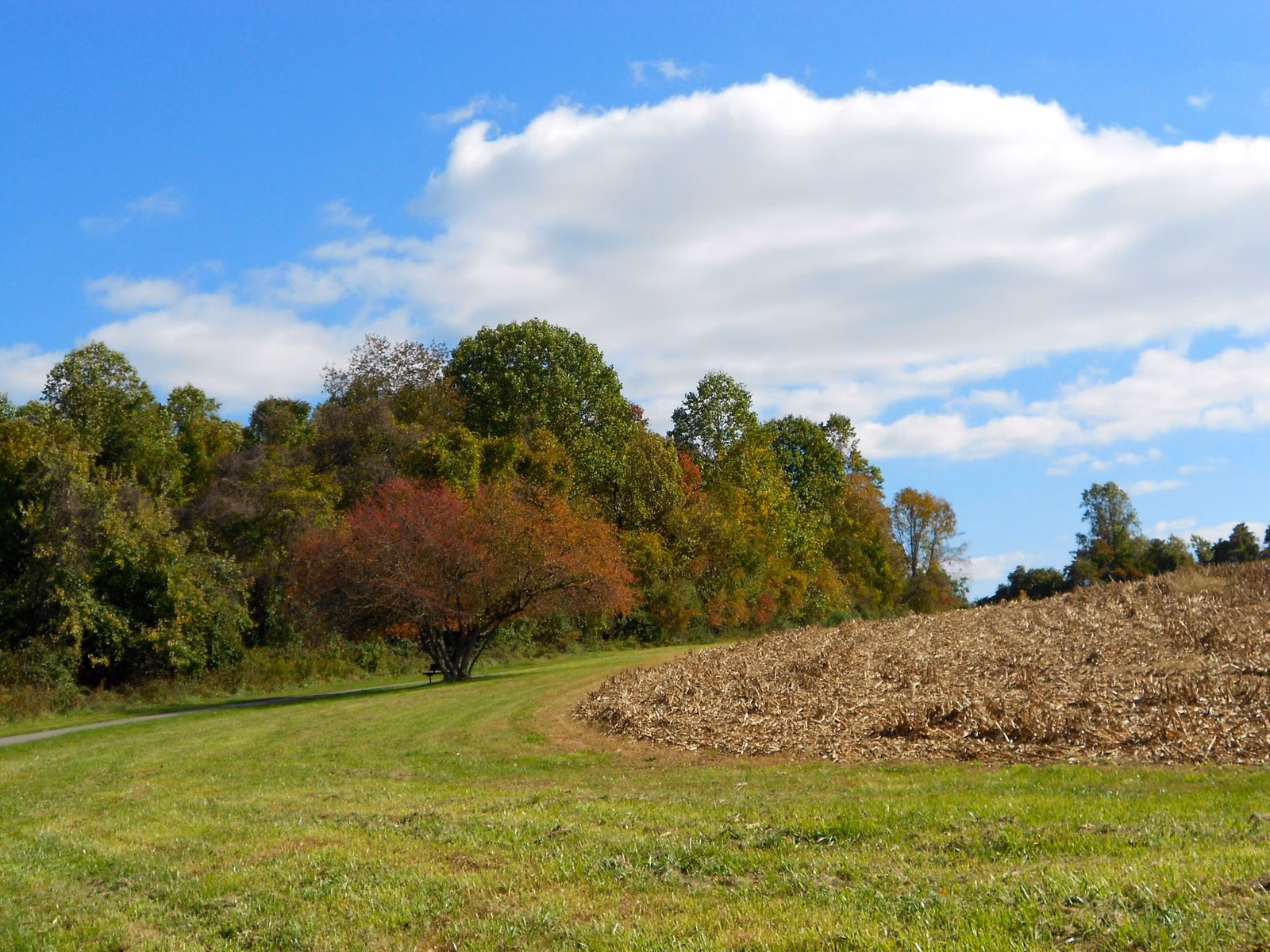 Open field and fall-colored woods along the paved trail in Ridley Creek State Park