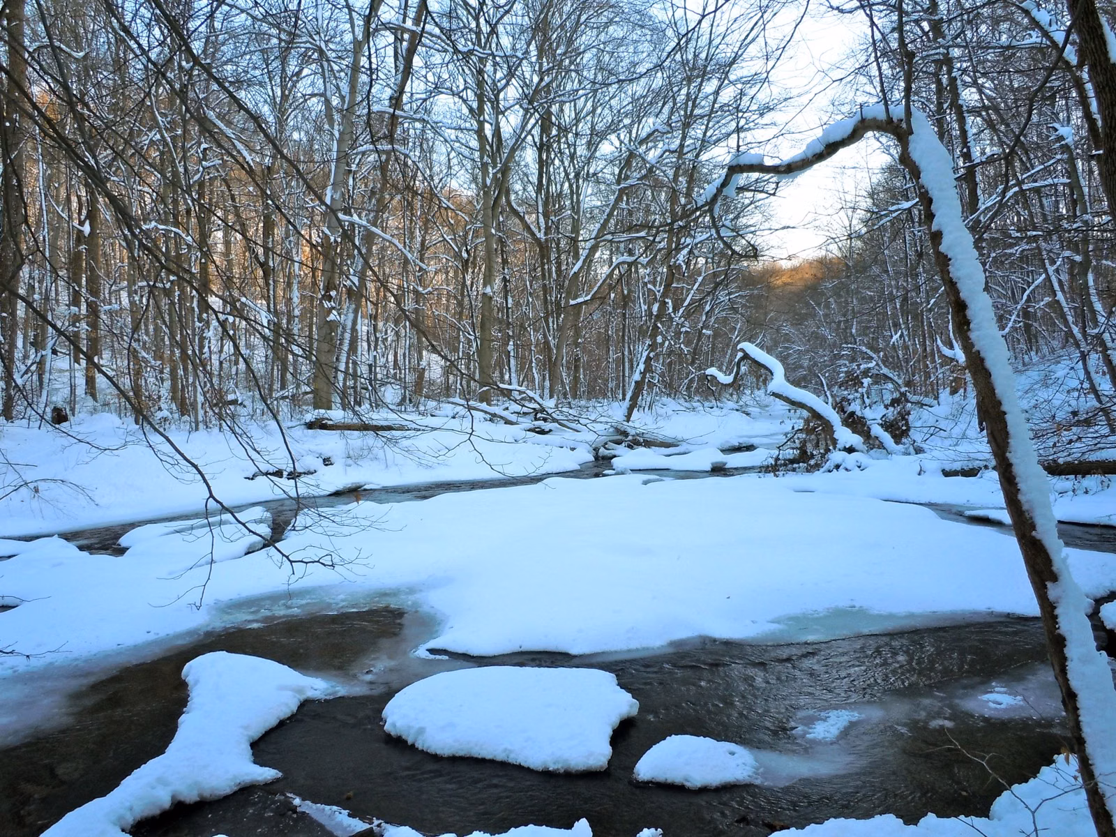 Ice and snow covering Ridley Creek after a winter storm in Ridley Creek State Park