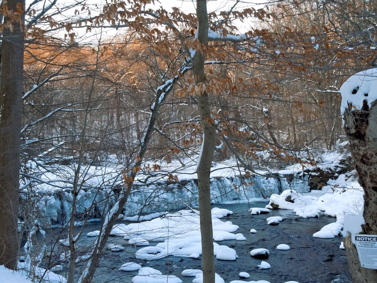 Water flowing over a dam on Ridley Creek between snowy banks in Ridley Creek State Park