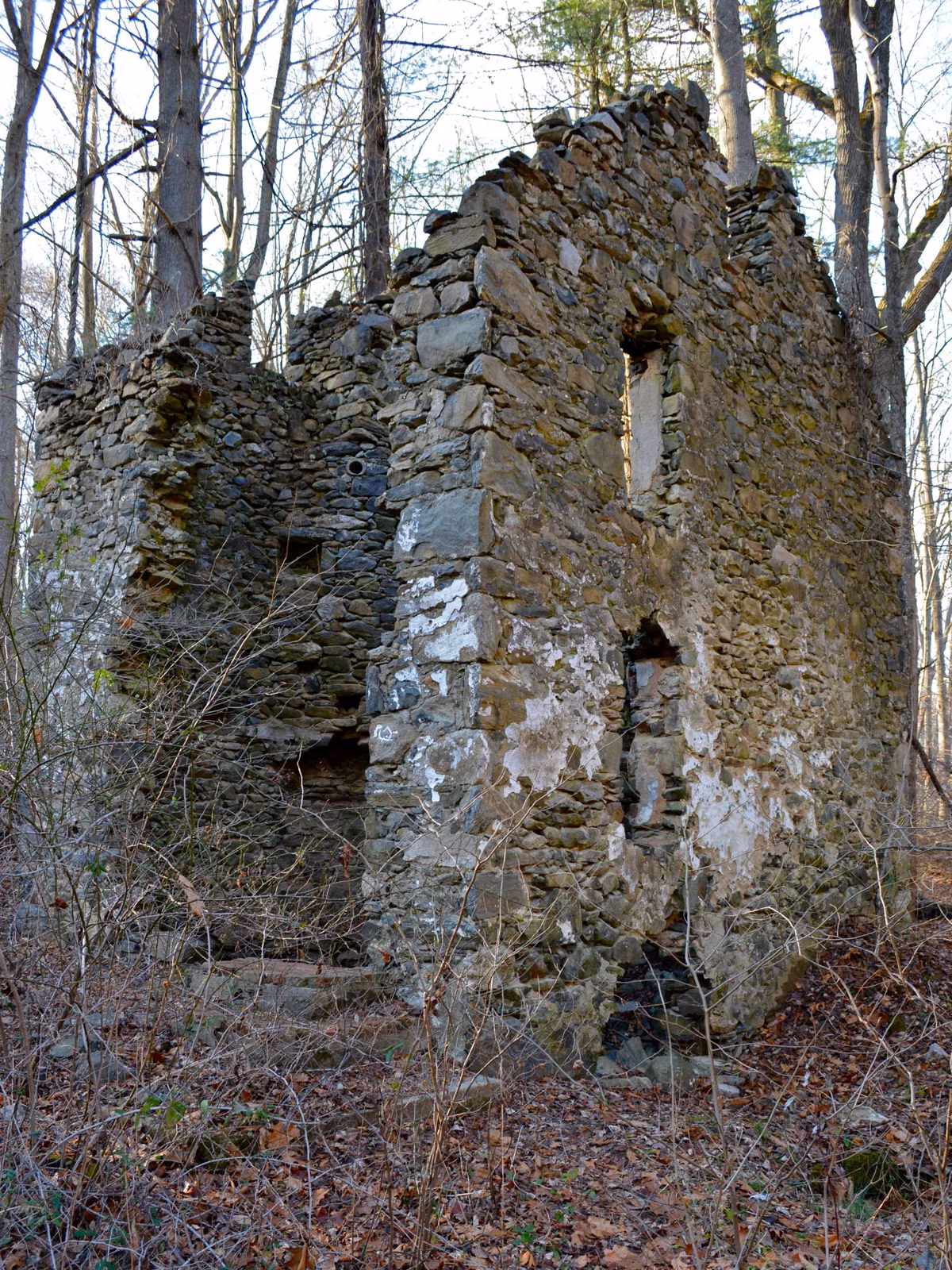 Stone ruins of a worker's cottage among bare trees in Ridley Creek State Park